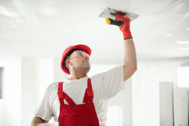 Best Commercial Mold Inspection  in Baldwin City, KS