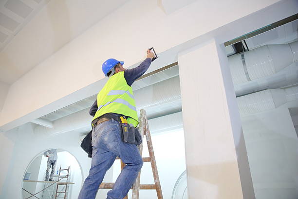 Best Mold Damage Restoration  in Baldwin City, KS
