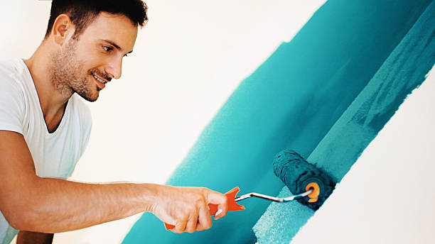 Best Mold Remediation for Healthcare Facilities  in Baldwin City, KS